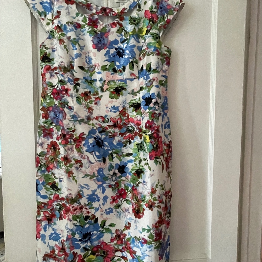 Super Cute Colorful Liz Claiborne Size 8 dress
